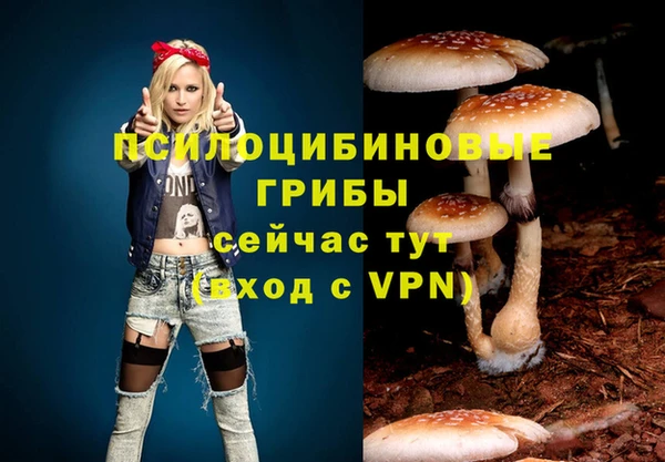 кокаин Няндома