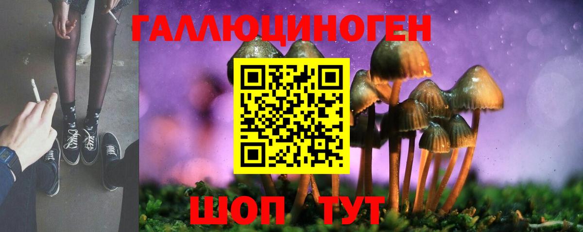 купить наркотики цена  Вход с VPN  Ливны  Галлюциногенные грибы Cubensis 