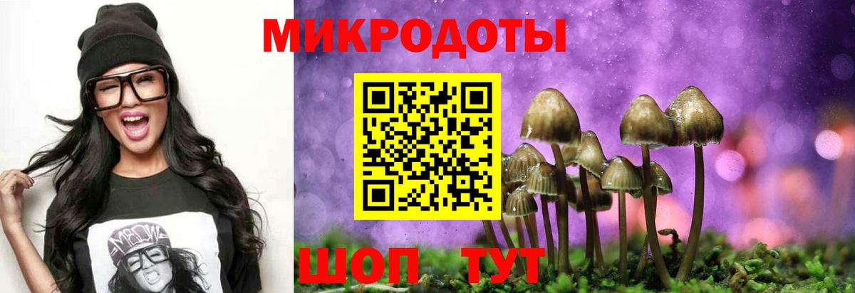 Псилоцибиновые грибы мухоморы Ливны